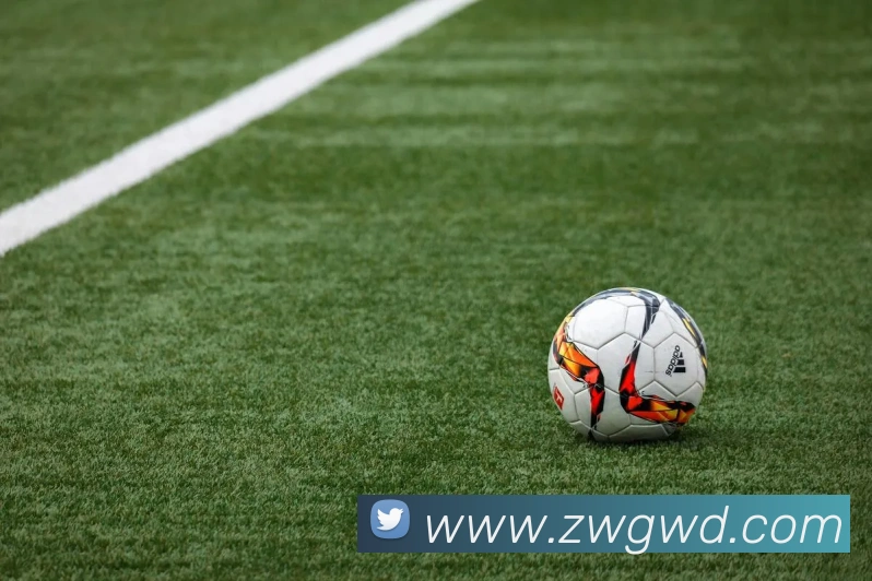 问鼎娱乐品牌故事